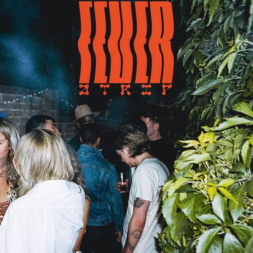 Cover image for Fever