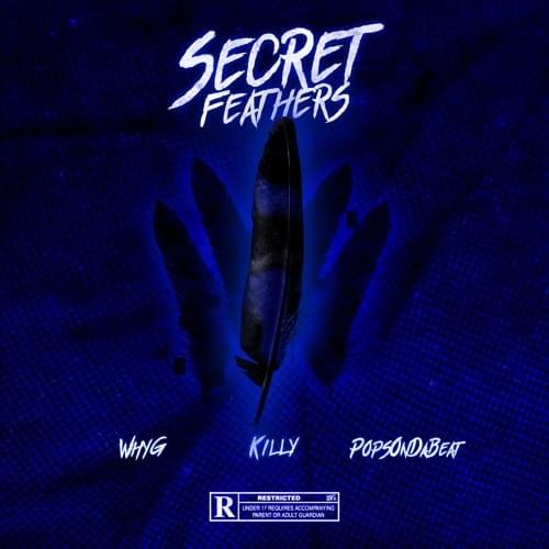 Album cover art for "Secret Feathers" by Why G & KILLY