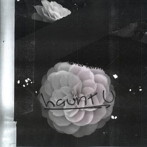 Album cover art for "Lil Peep - haunt u (Traduction française)" by Genius traductions françaises