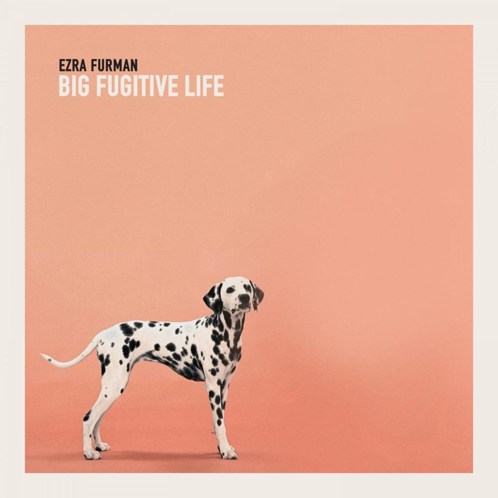 Cover image for Big Fugitive Life