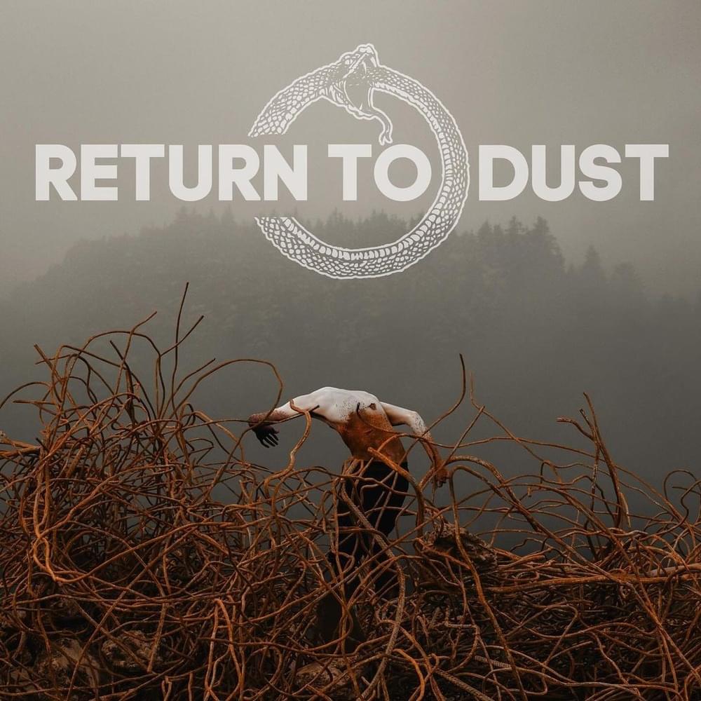About The World by Return To Dust