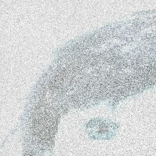 porcelain by ​crusey