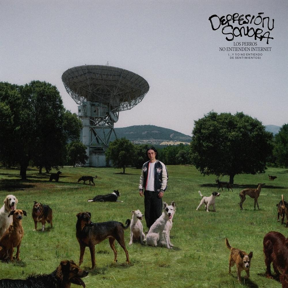 Cover image for Los Perros no Entienden Internet (...Y Yo no Entiendo de Sentimientos)