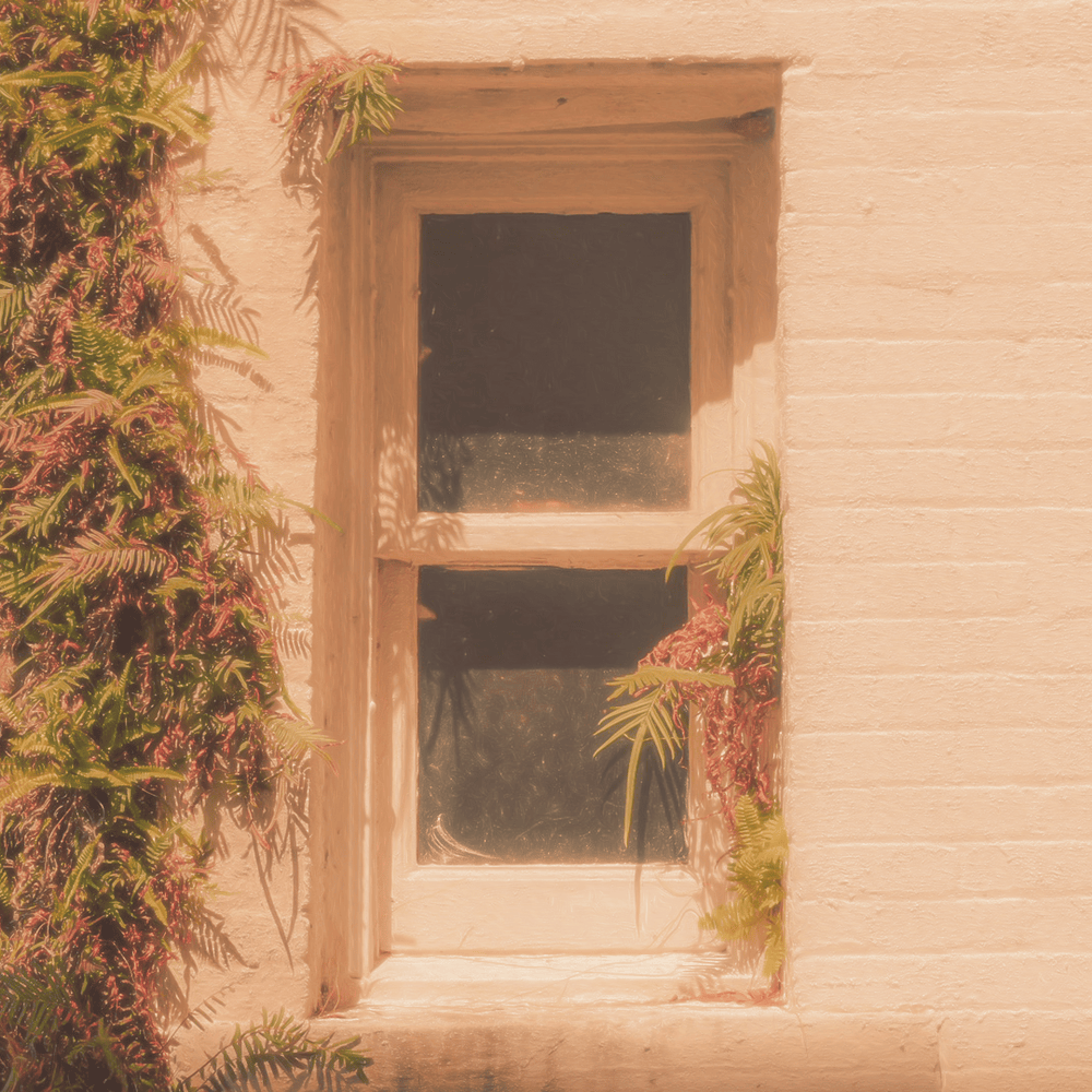 Album cover art for "overgrown." by i can’t trust myself tonight