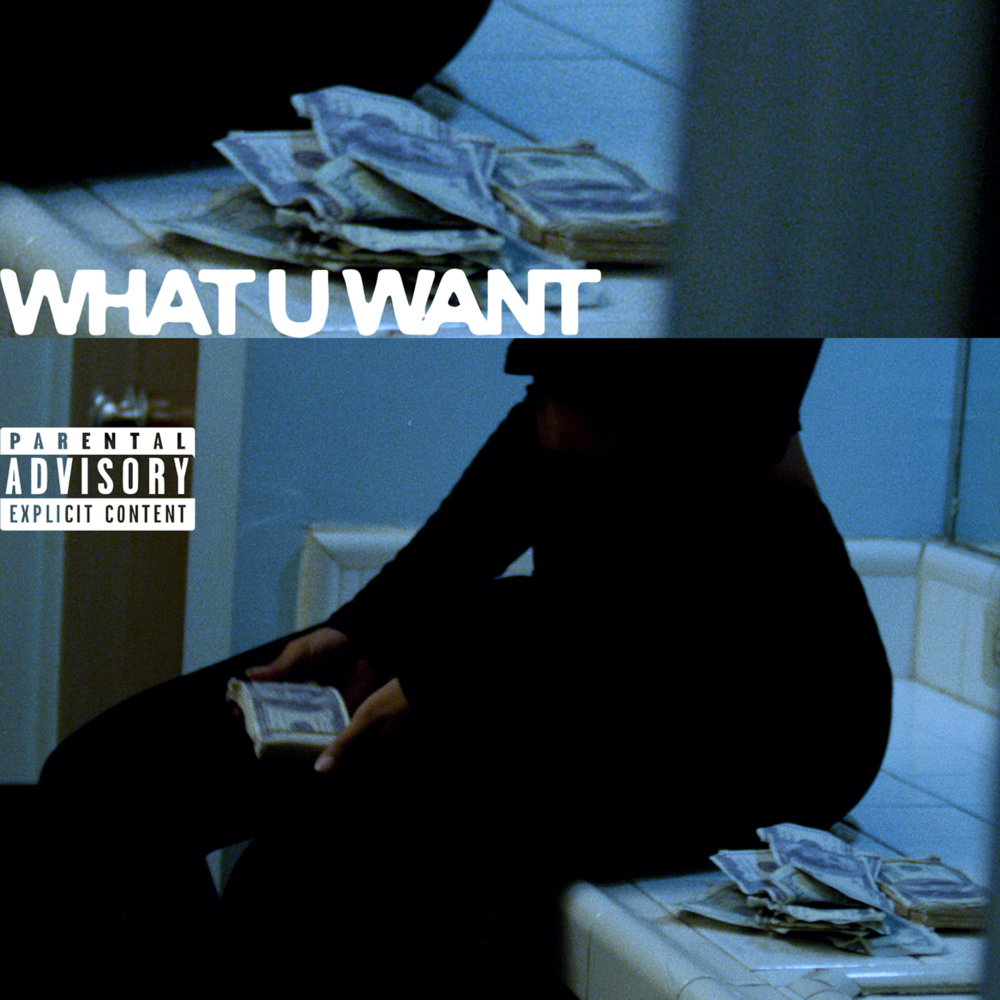 Album cover art for "What U Want" by Caleborate