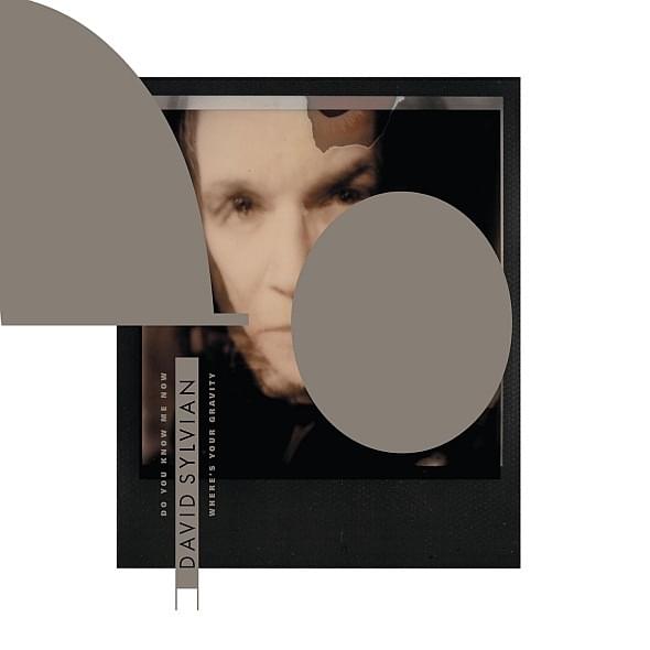 Album cover art for "Do You Know Me Now?" by David Sylvian