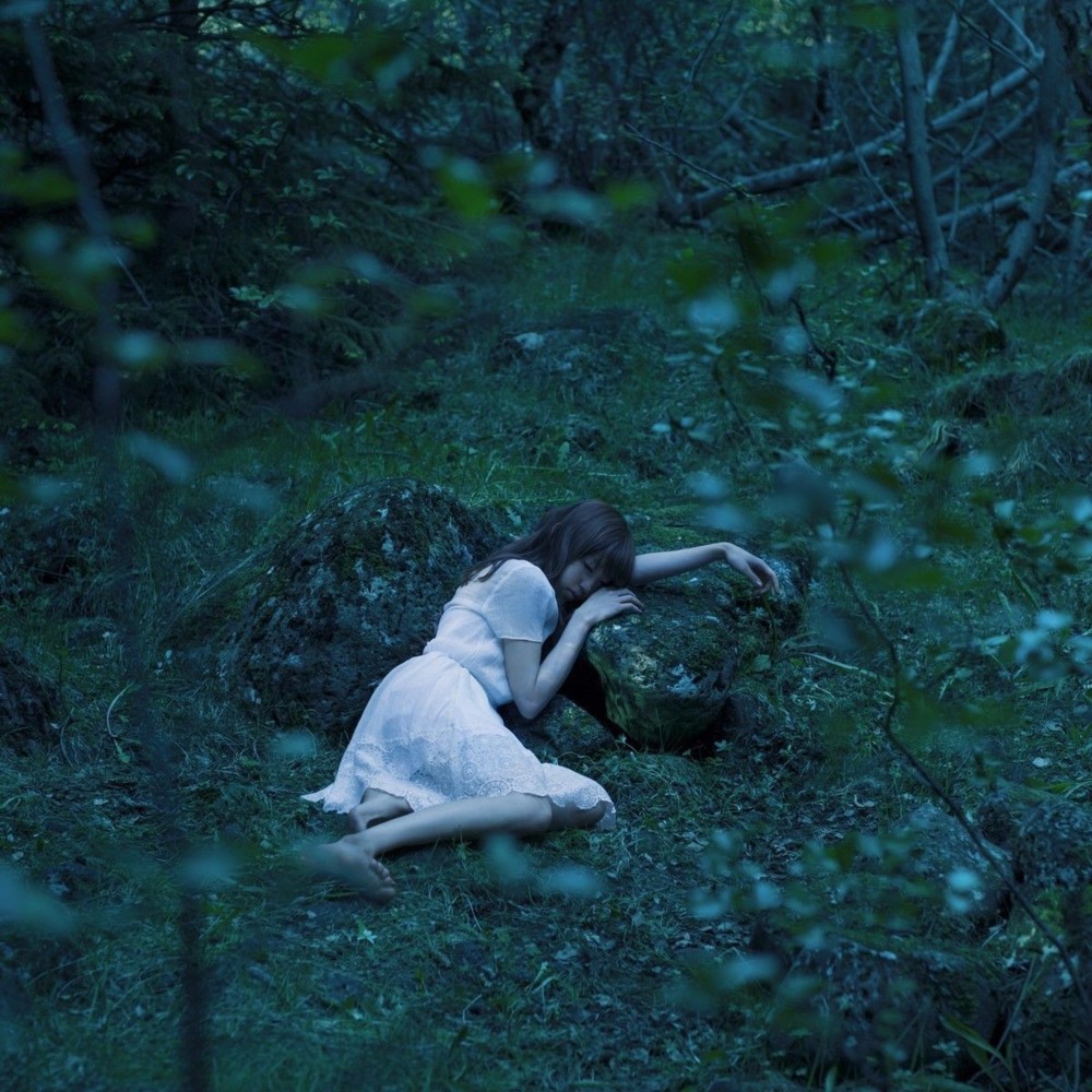 Album cover art for "眠りの森 (Nemuri no Mori)" by Aimer