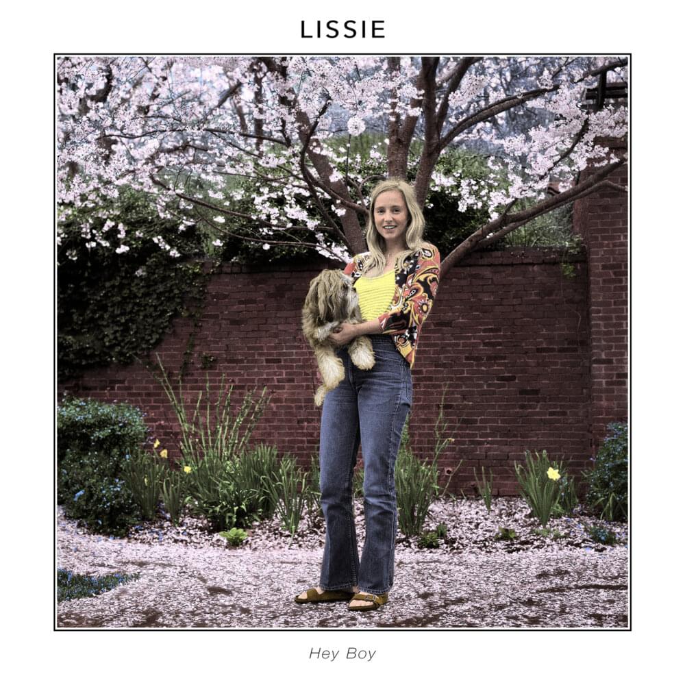 Album cover art for "Hey Boy" by Lissie