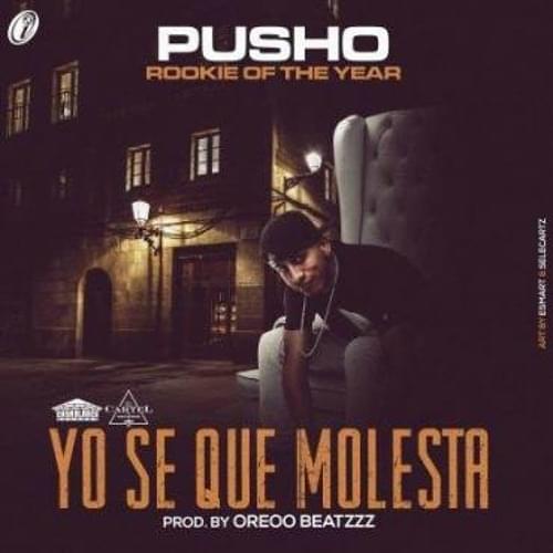 Yo Sé Que Molesta by Pusho