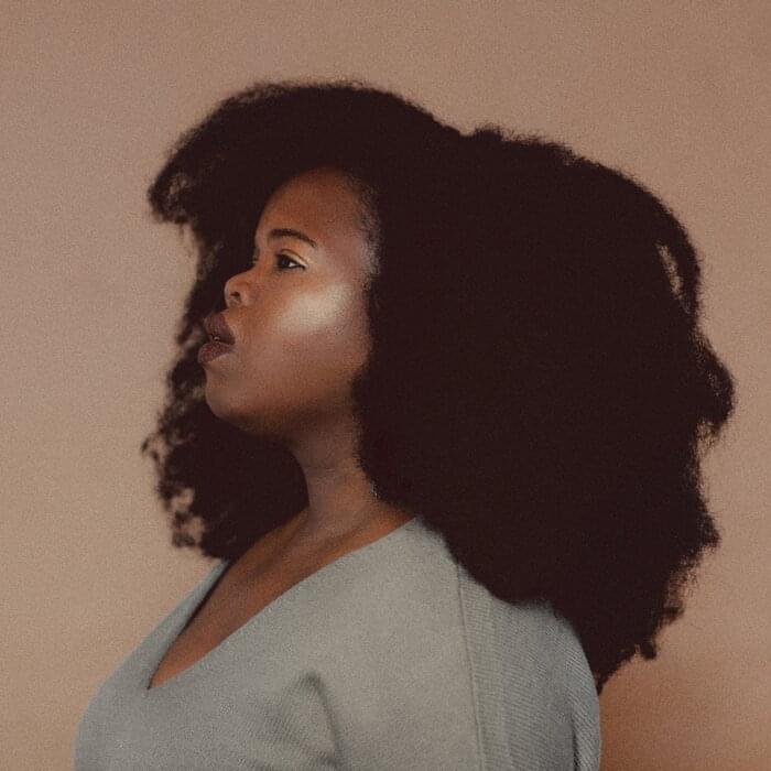 Album cover art for "So Long" by Danielle Ponder