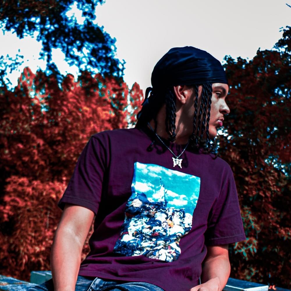 Cover image for Luisss