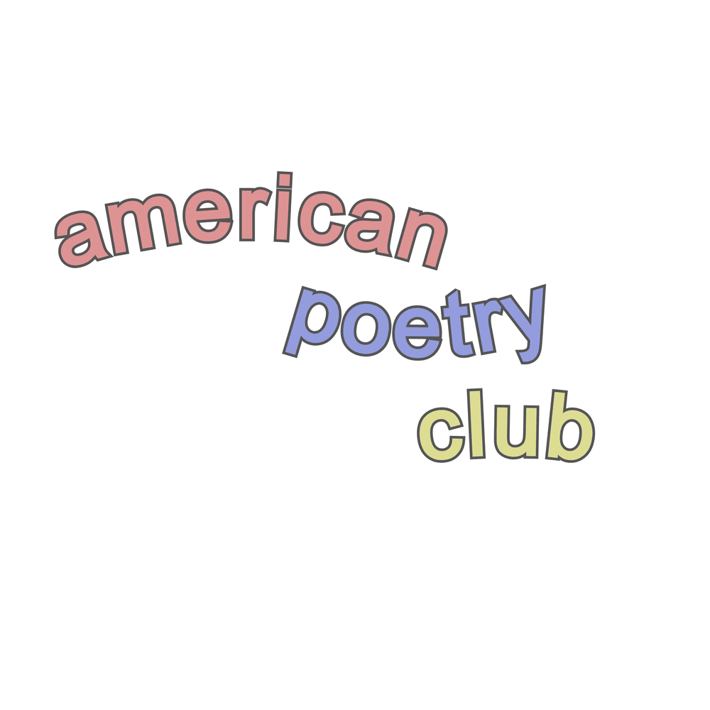 Album cover art for "The International Tweexcore Underground" by american poetry club