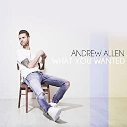 Album cover art for "What You Wanted" by Bravo Hits