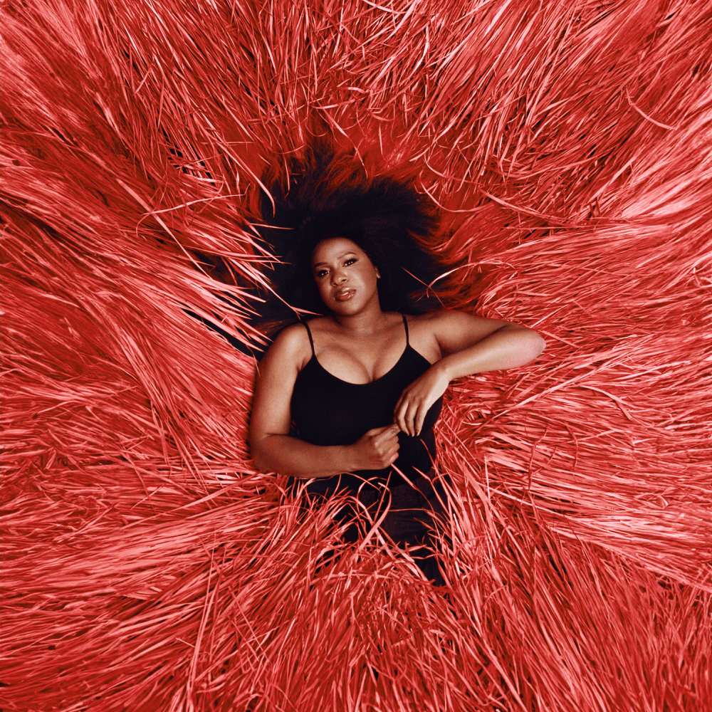Album cover art for "Wildflowers" by Nao