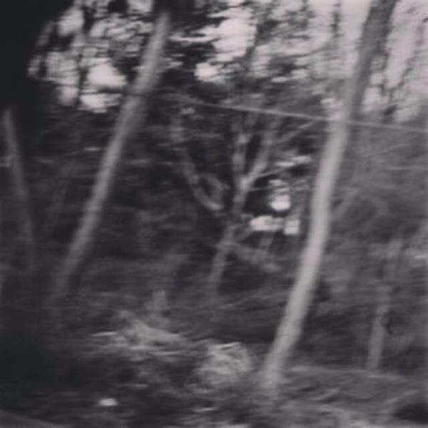 Cover image for A New Void