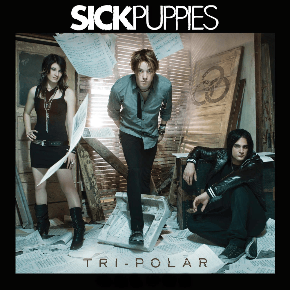 Album cover art for "Maybe" by Sick Puppies