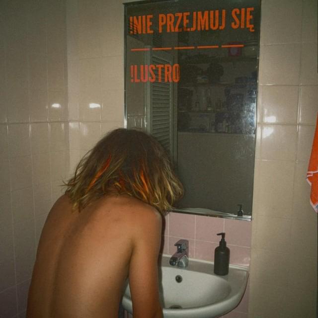 Cover image for !NIE PRZEJMUJ SIĘ/!LUSTRO