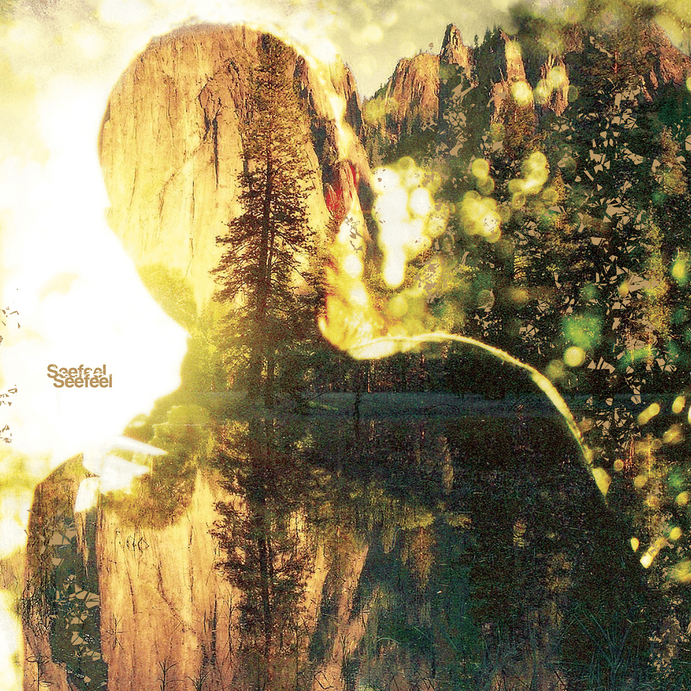 Cover image for  Seefeel