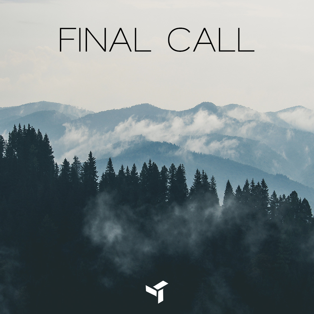 Cover image for Final Call