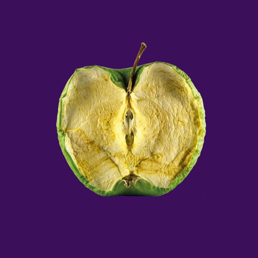 Album cover art for "Waste" by Zeal & Ardor