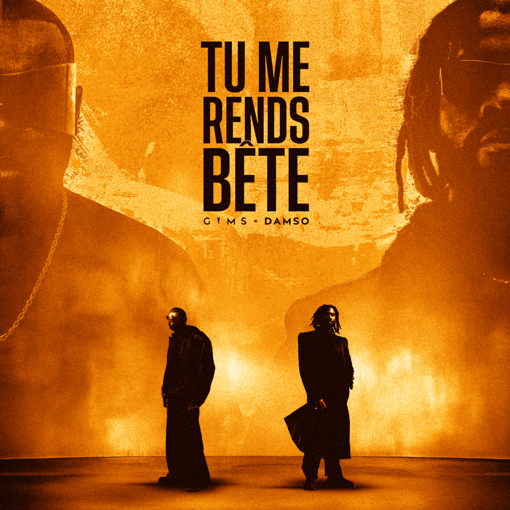 Album cover art for "TU ME RENDS BÊTE" by GIMS & Damso