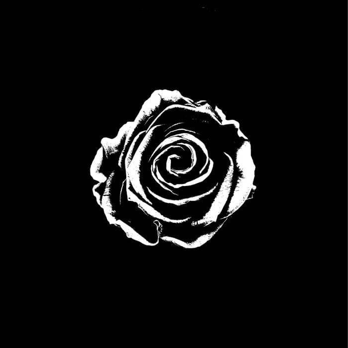 Cover image for Into The Silence - Single