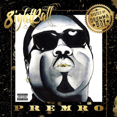 Cover image for Premro