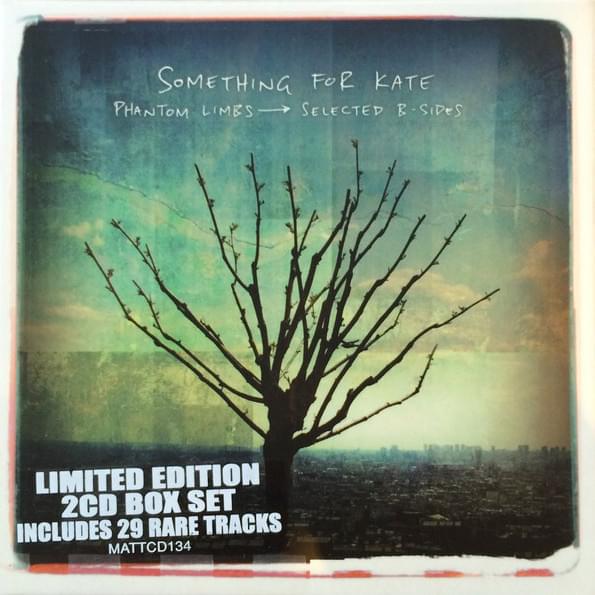 Cover image for Phantom Limbs - Selected B-Sides