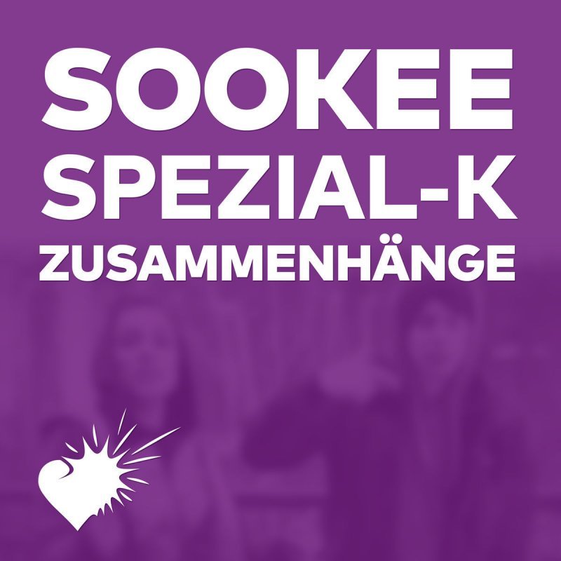 Album cover art for "Zusammenhänge" by Sookee & Spezial-K