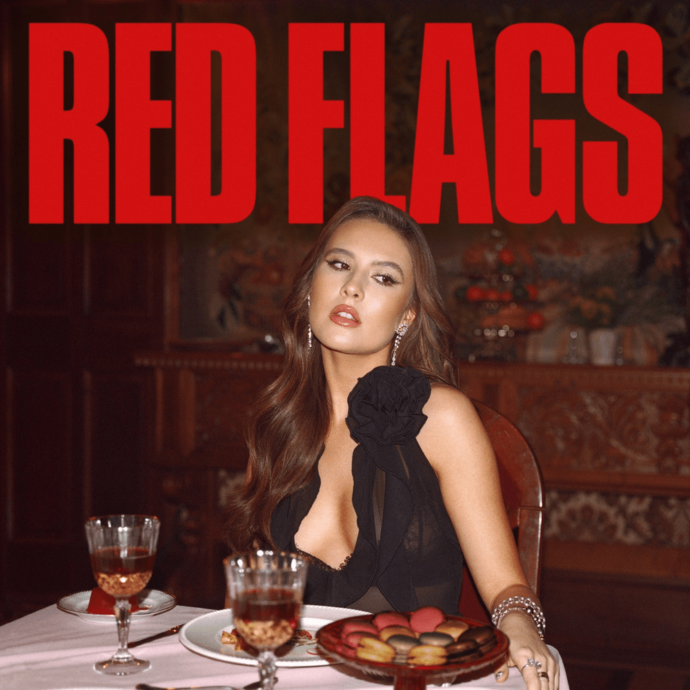 Red Flags by Mimi Webb