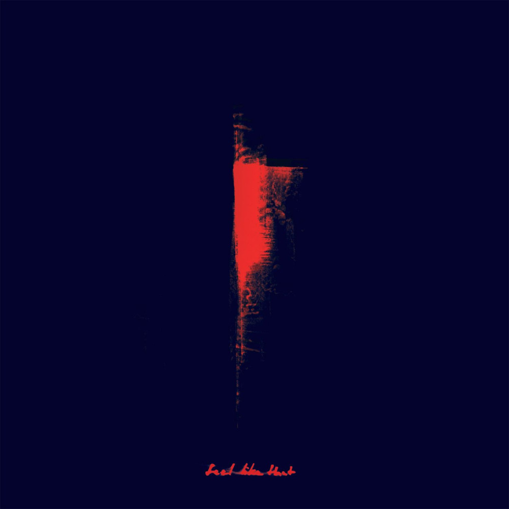 Cover image for Feel Like That