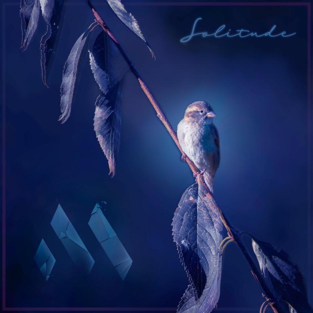 Album cover art for "Solitude" by Mosaic