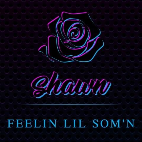 Album cover art for "Feelin Lil Som’n" by Shawn Stockman