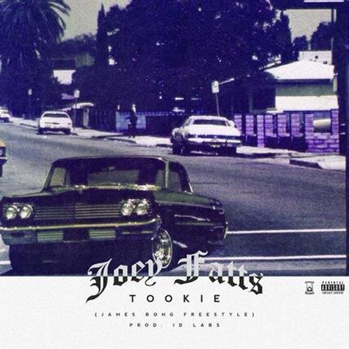 Album cover art for "Tookie" by Joey Fatts