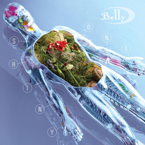 Album cover art for "Shiny One" by Belly (Band)