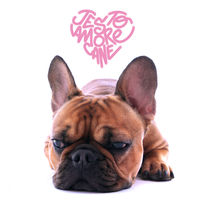Album cover art for "Amore Cane" by Jesto