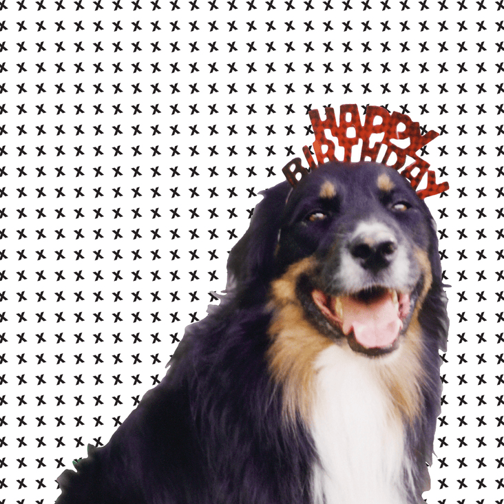Cover image for Mollie’s Mix