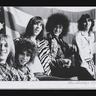 Cover image for MC5