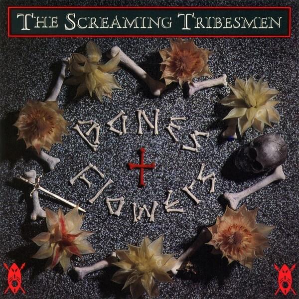 Talk Another Language by The Screaming Tribesmen