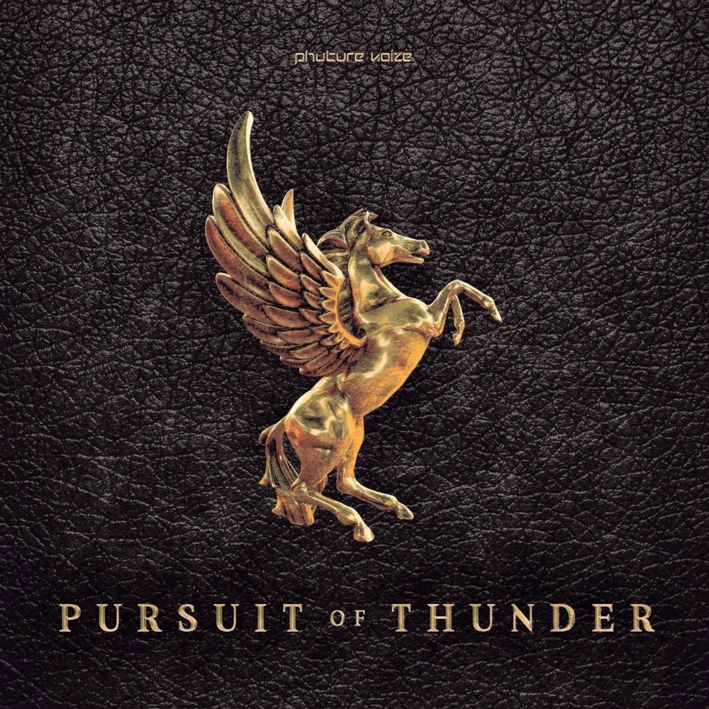 Cover image for Pursuit Of Thunder