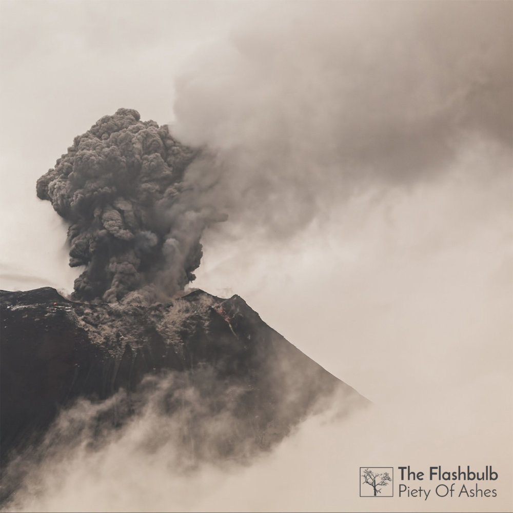 Album cover art for "Leaves" by The Flashbulb