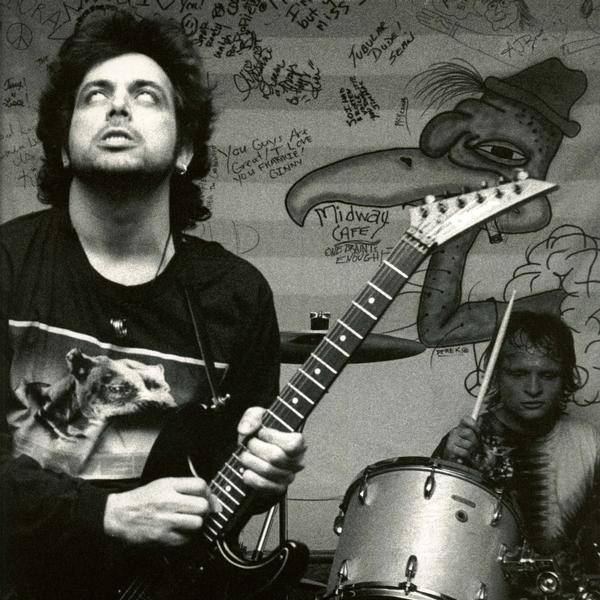 Cover image for Birdbrain