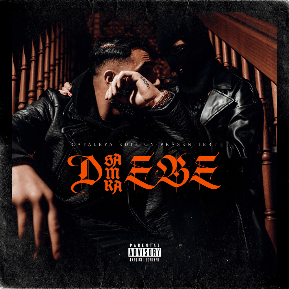 Album cover art for "Diebe" by Samra