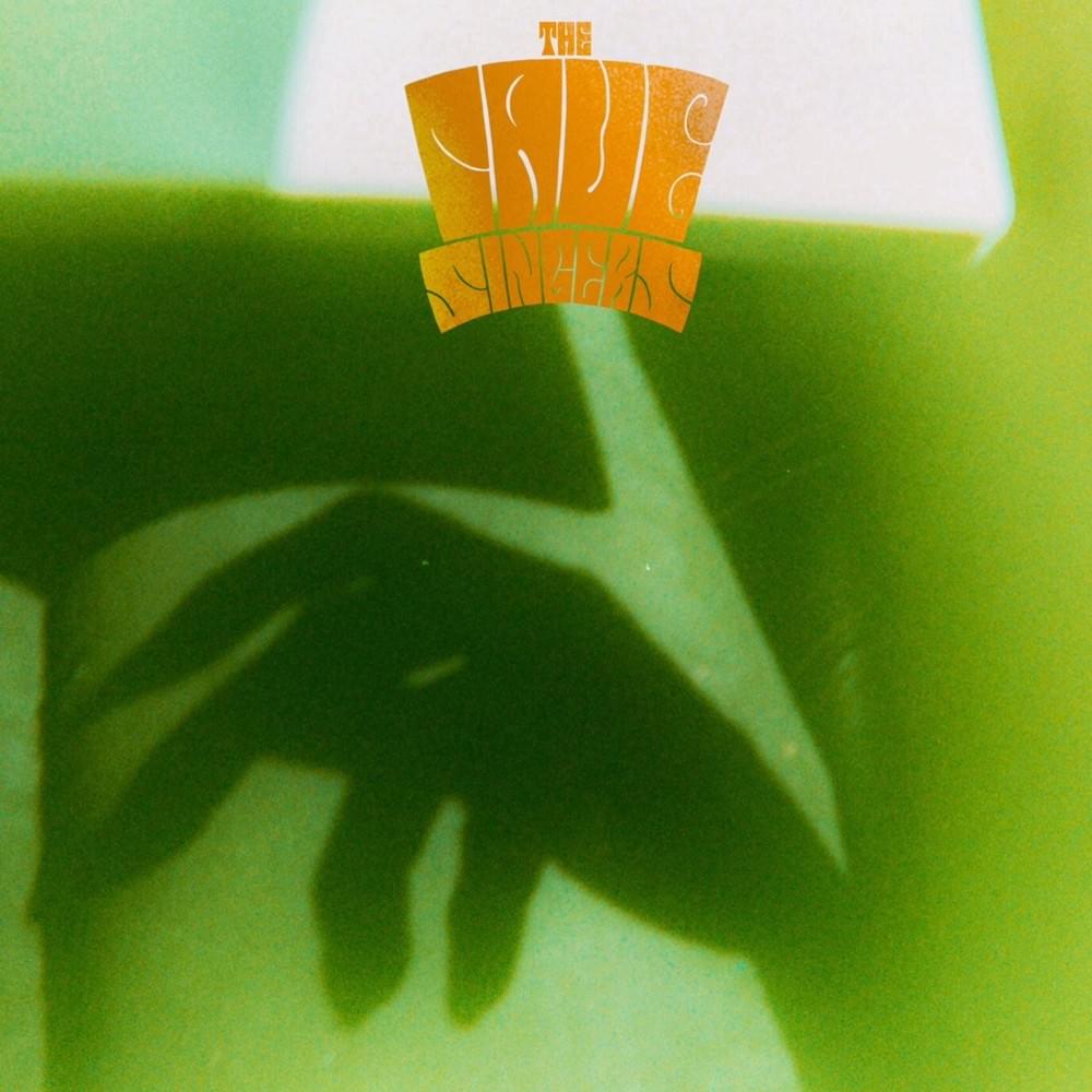 Strip Mine by The Cave Singers