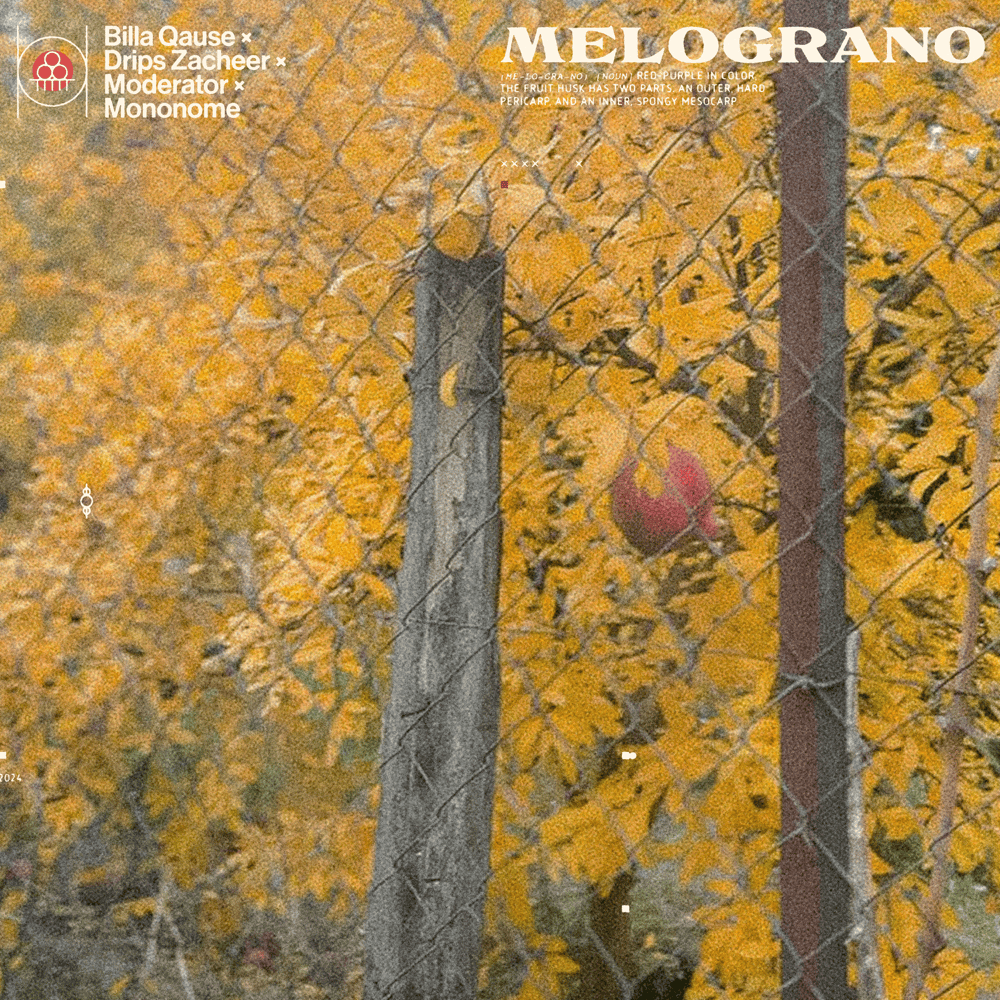 Melograno by Drips Zacheer