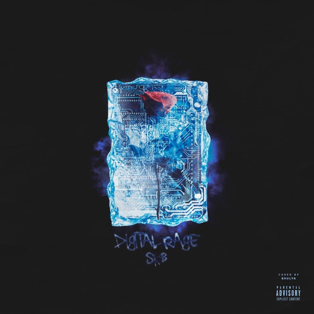 Cover image for DIGITAL RAGE