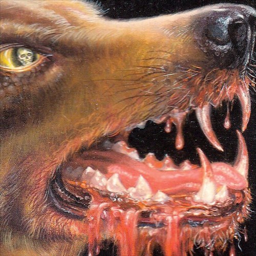 Album cover art for "Iced" by SALUKI