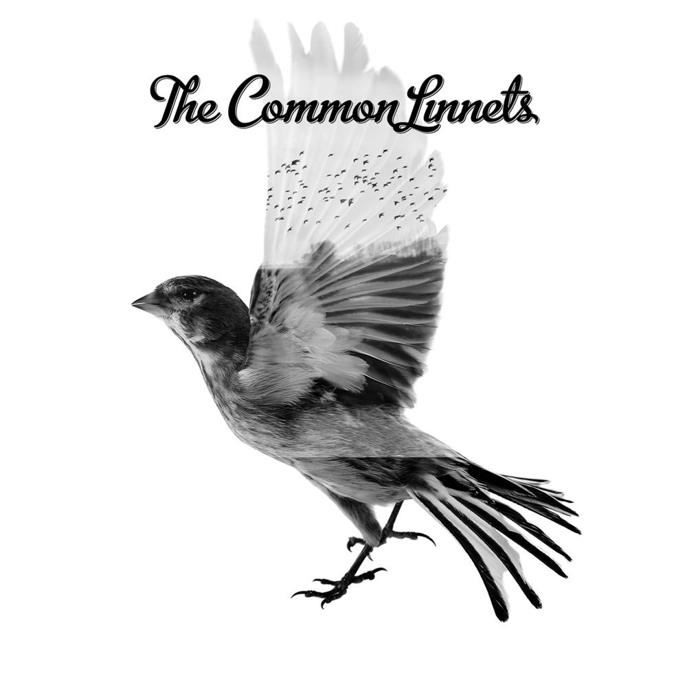 Before Complete Surrender by The Common Linnets