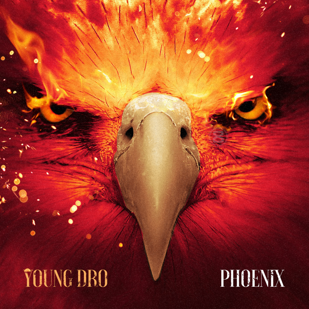 Cover image for Phoenix
