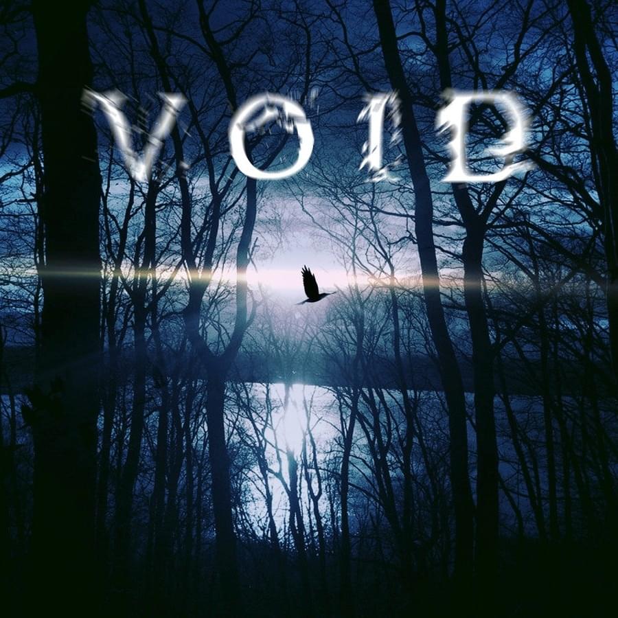 Cover image for Void
